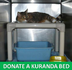 Kuranda Kitty Beds - kitty couches!